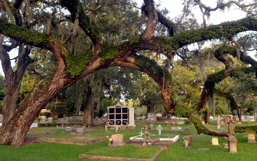 cemetery mapping with tree cover and columbarium