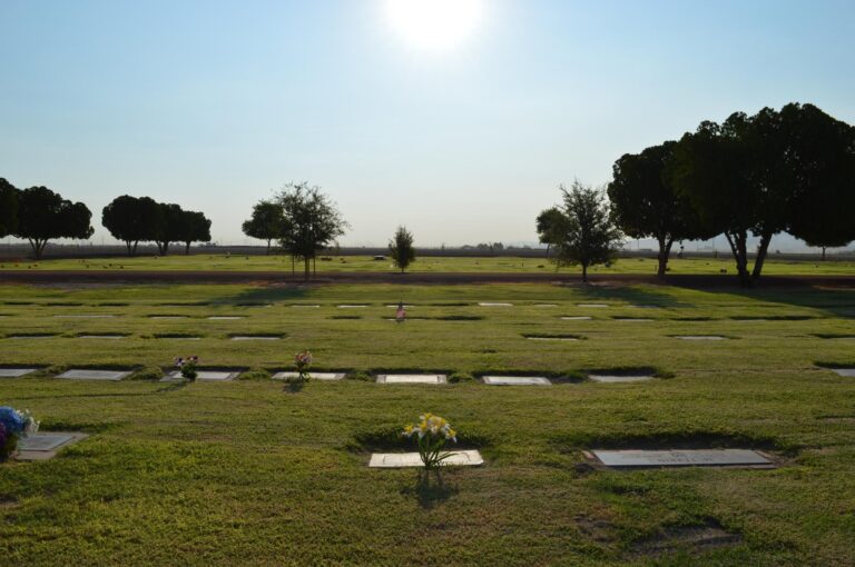 cemetery mapping