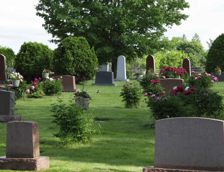 Digital Cemetery Mapping