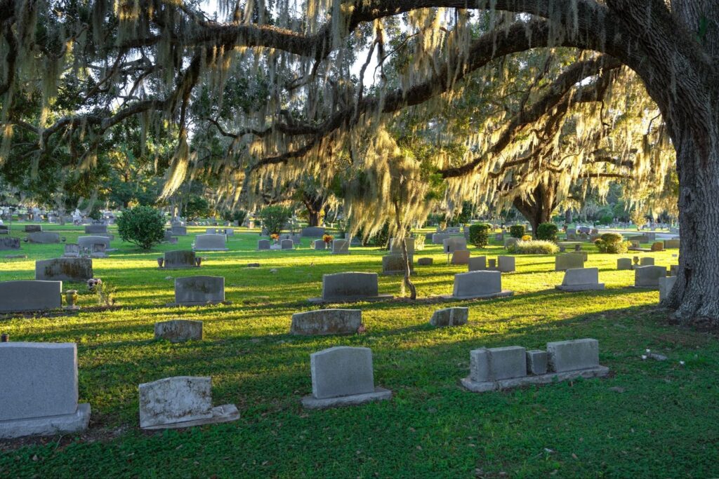 Cemetery Mapping and Information System